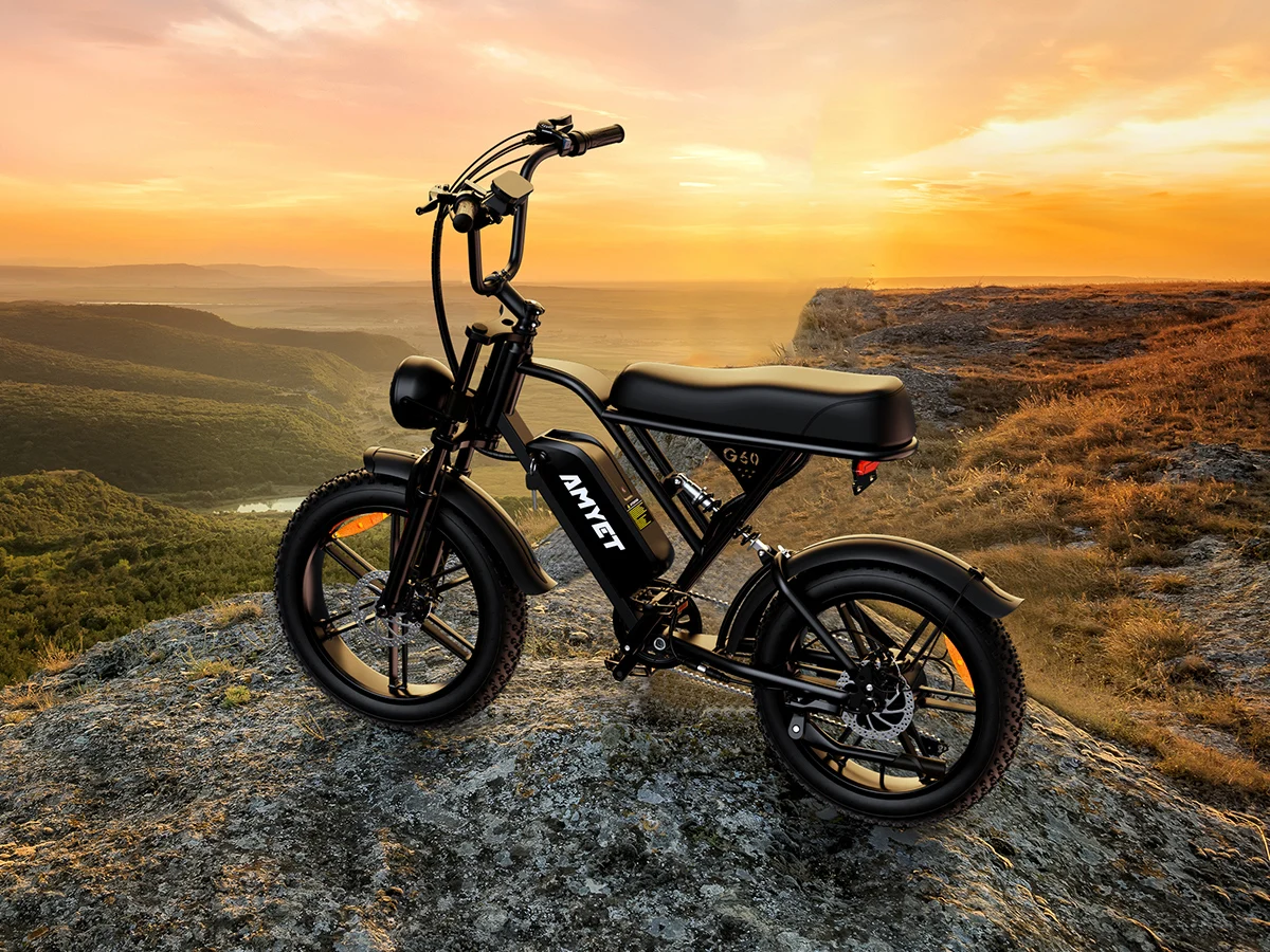 AMYET V9-G60 Adults Electric Bike 1000W Motor Bicycle 48V 20AH 20 Inch Tire Ebike Electric E Bikes Mountain Moped Ebikes For Men